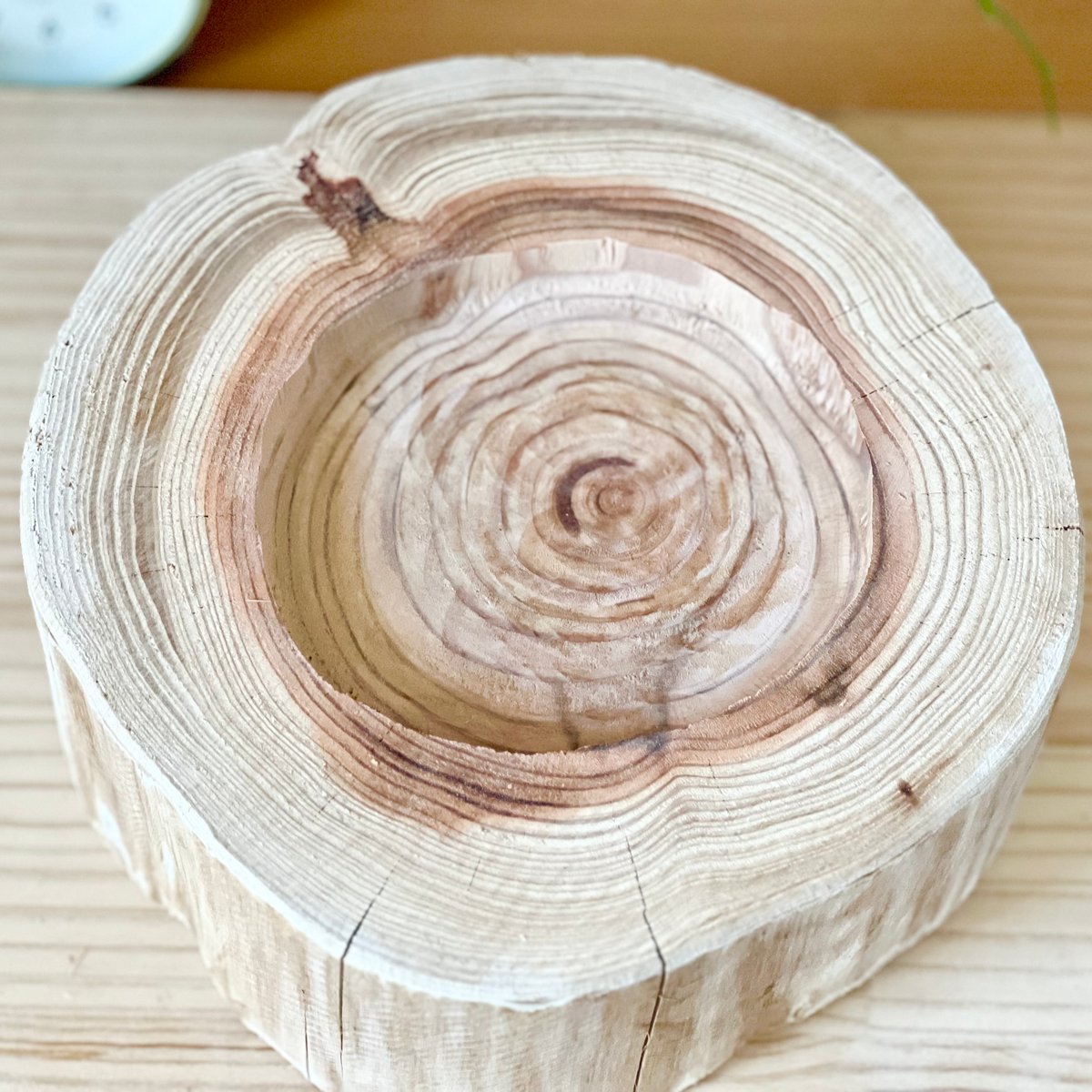杉の丸太【Sサイズ】t 直径20cm×高さ9cm くぼみ径12cm | はちもも雑貨店