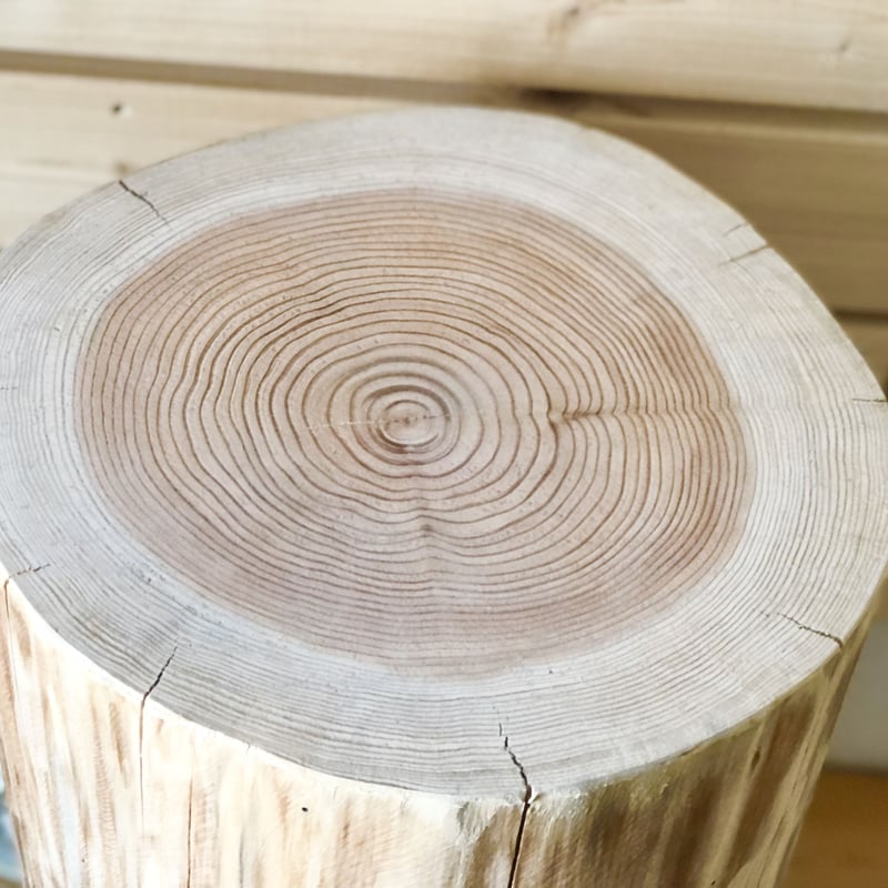 杉 丸太 杉の丸太【Lサイズ】I 直径30cm×高さ46cm ※サンディングペーパー2種類