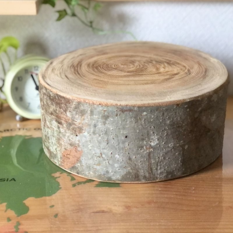 けやきの丸太【Sサイズ】y 直径23cm×高さ10cm ※サンディングペーパー2