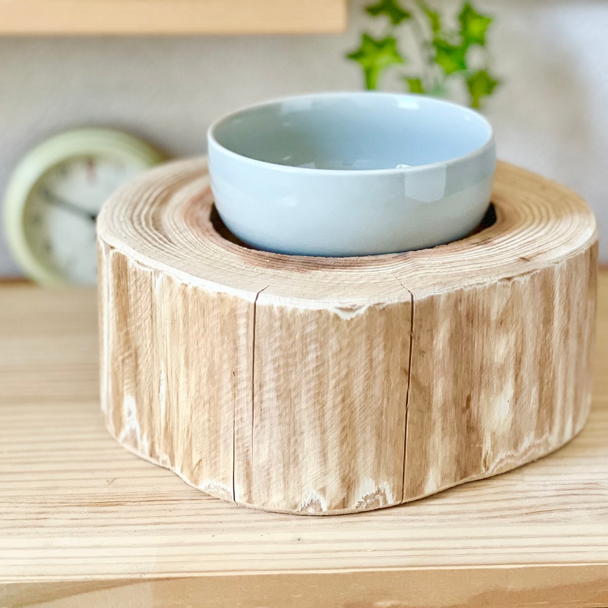杉の丸太【Sサイズ】t 直径20cm×高さ9cm くぼみ径12cm | はちもも雑貨店