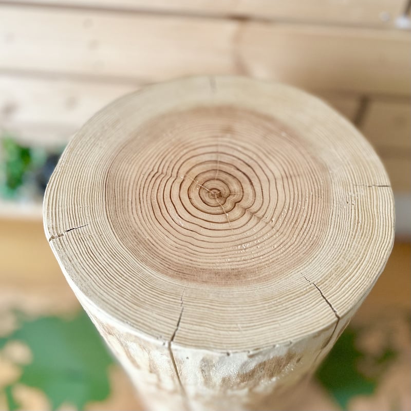 杉の丸太【Lサイズ】M 直径27cm×高さ45cm | はちもも雑貨店