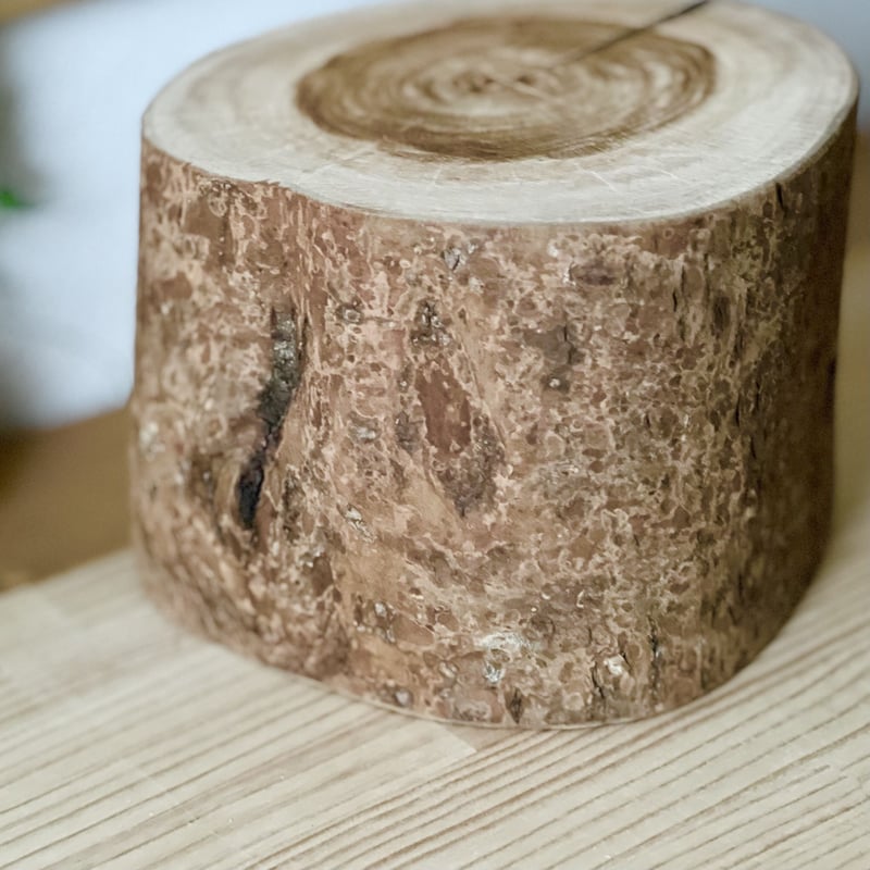 桜の丸太【Sサイズ】f 直径20cm×高さ15cm | はちもも雑貨店