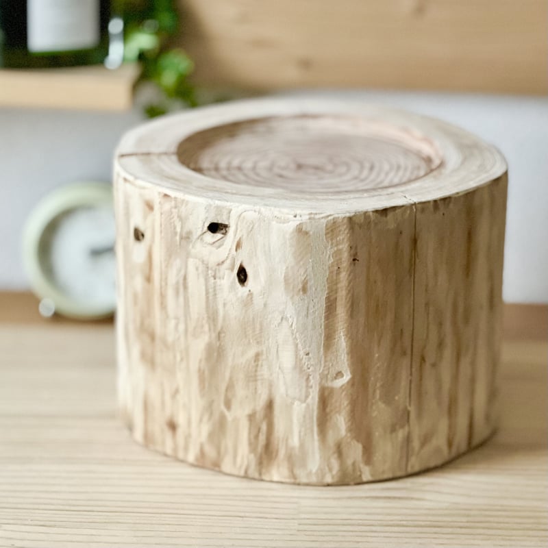 杉の丸太【Sサイズ】h 直径20cm×高さ15cm ちょっと穴あき | はちもも雑貨店
