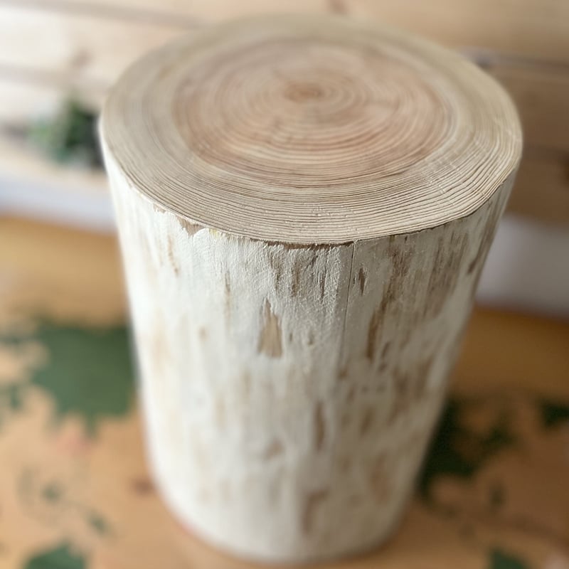 杉の丸太【Lサイズ】N 直径30cm×高さ45cm | はちもも雑貨店
