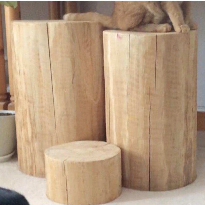 けやきの丸太【Sサイズ】y 直径23cm×高さ10cm ※サンディングペーパー2