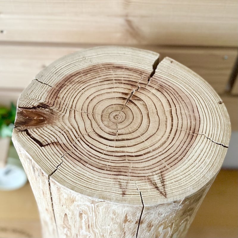 杉の丸太【Lサイズ】L 直径20cm×高さ40cm | はちもも雑貨店