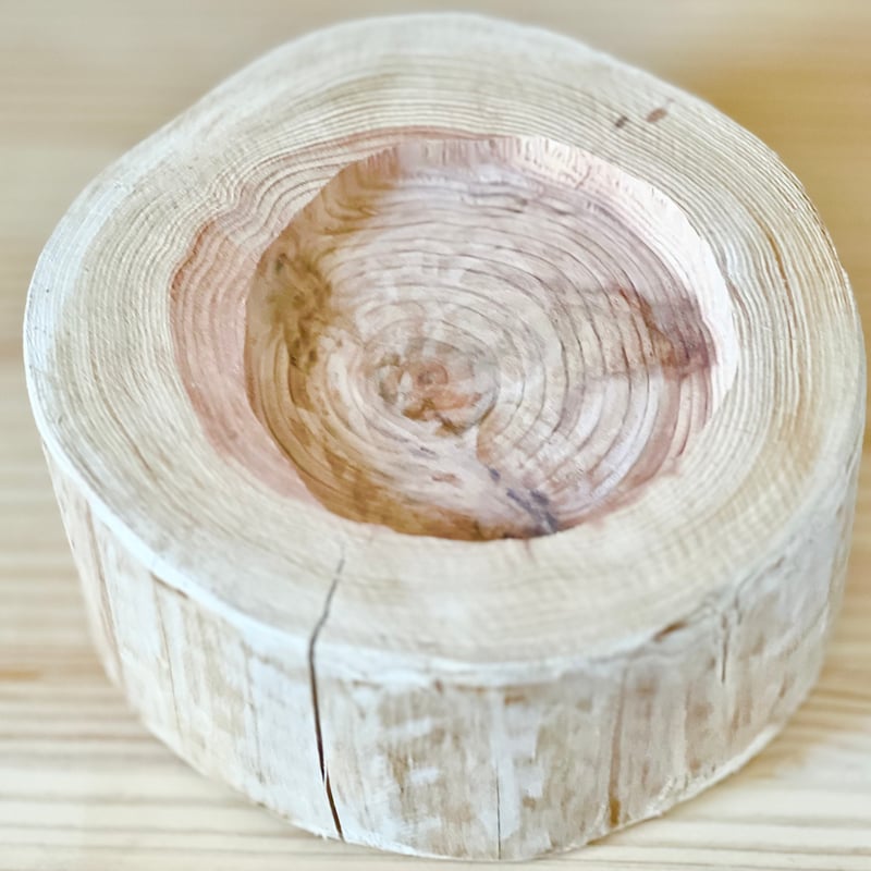 杉の丸太【Sサイズ】s 直径20cm×高さ10cm くぼみ径12cm | はちもも雑貨店