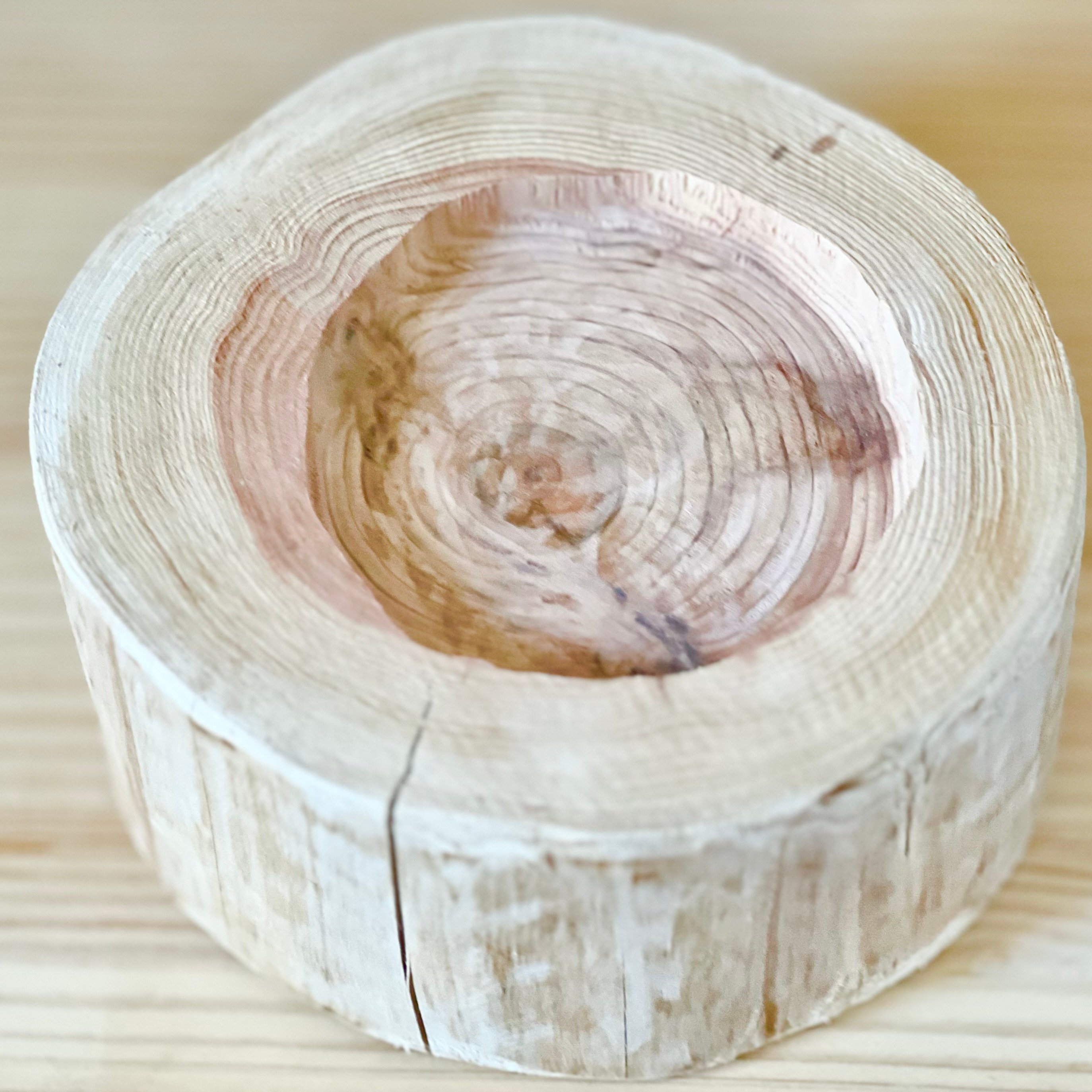 杉の丸太【Sサイズ】s 直径20cm×高さ10cm くぼみ径12cm | はちもも雑貨店