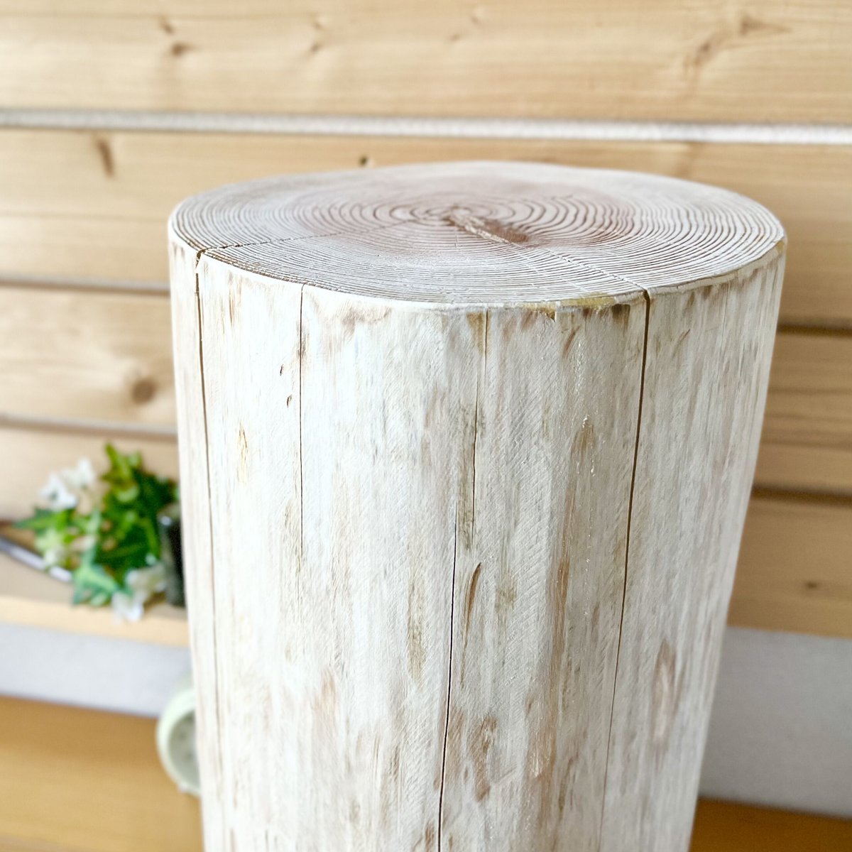 杉の丸太【Lサイズ】R 直径23cm×高さ45cm | はちもも雑貨店