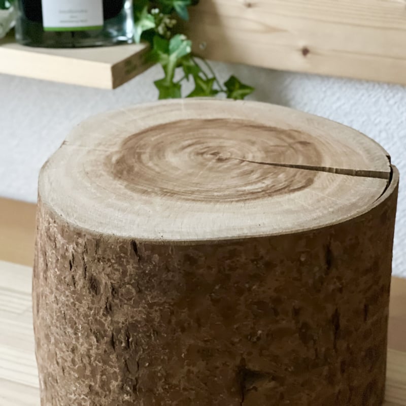 薪丸太　桜 牛久市産 乾燥 薪 桜 ( さくら ) 約14kg～16kg｜茨城県牛久市