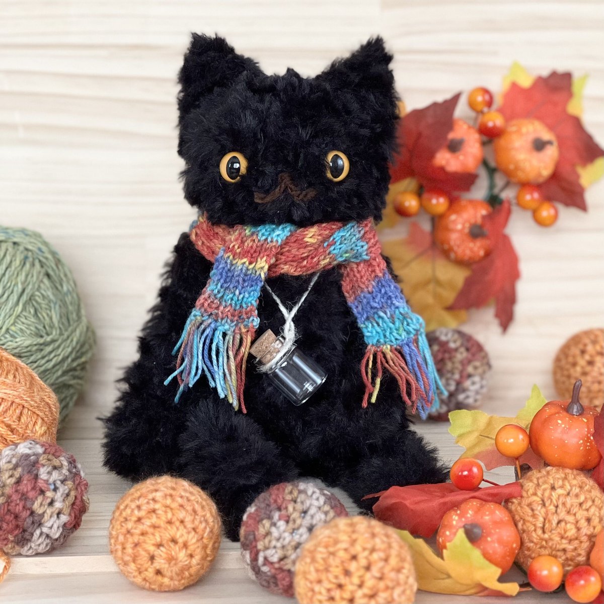 「黒猫みんと」のみ 奇跡に近い回復を見せている｢みんと｣本当の奇跡を起こしたい！（西村