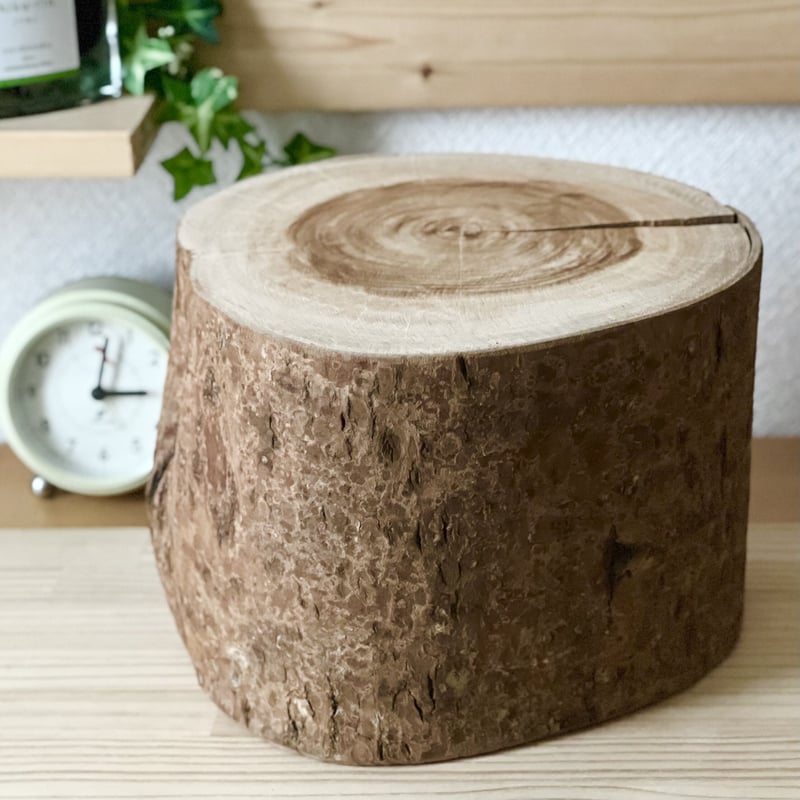 桜の丸太【Sサイズ】f 直径20cm×高さ15cm | はちもも雑貨店