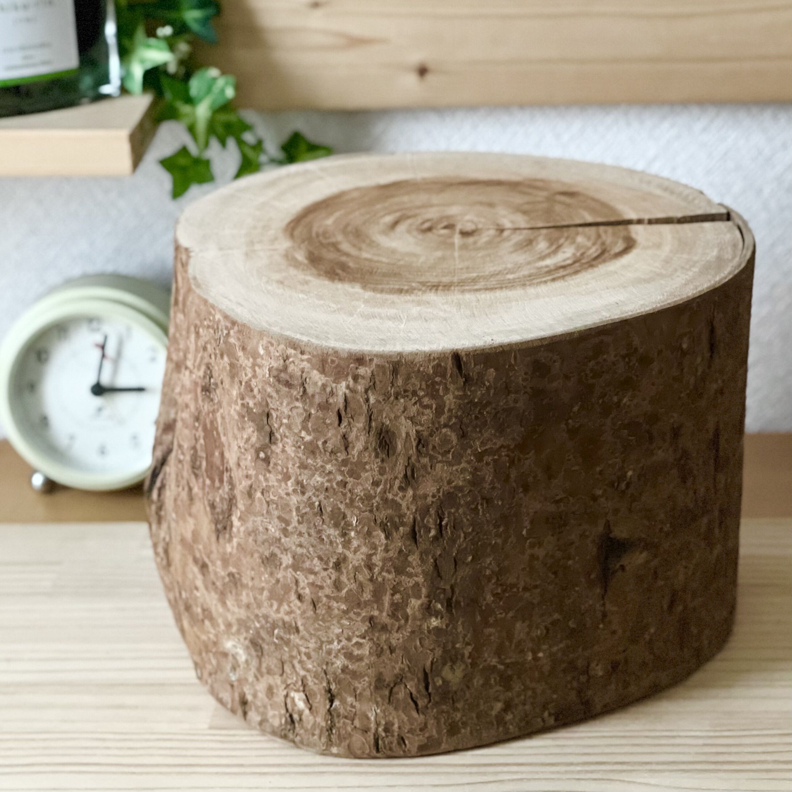 桜の丸太【Sサイズ】f 直径20cm×高さ15cm | はちもも雑貨店