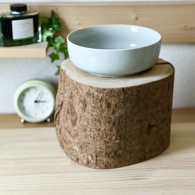 桜の丸太 桜の丸太【Sサイズ】f 直径20cm×高さ15cm | はちもも雑貨店