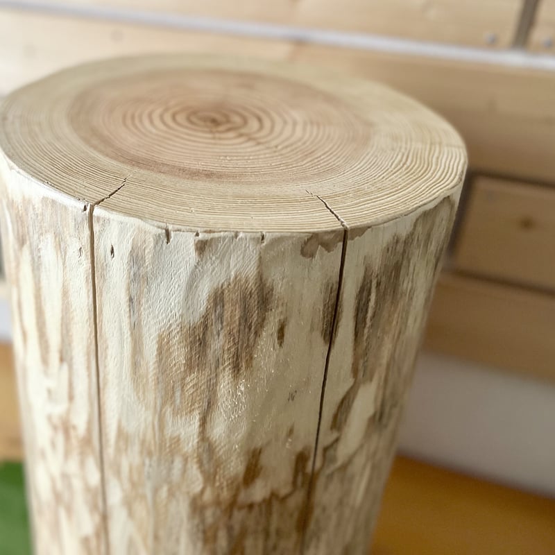 杉の丸太【Lサイズ】M 直径27cm×高さ45cm | はちもも雑貨店