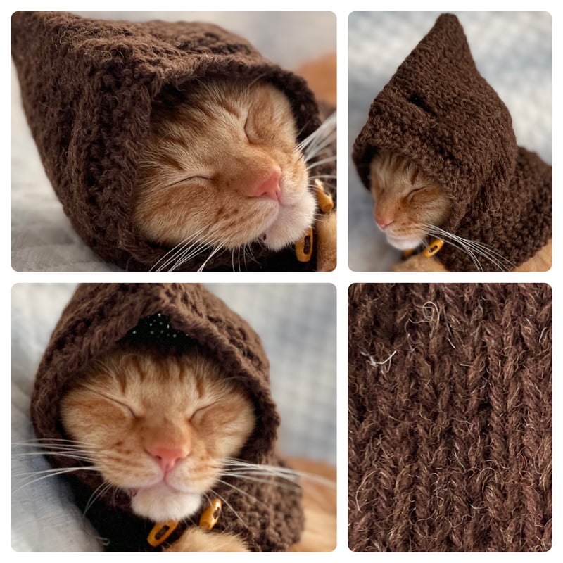 ねこちゃんチャーム　三毛猫(橙色)×りす×どんぐり×落ち葉 ねこちゃんチャーム 三毛猫(橙色)×りす×どんぐり×落ち葉