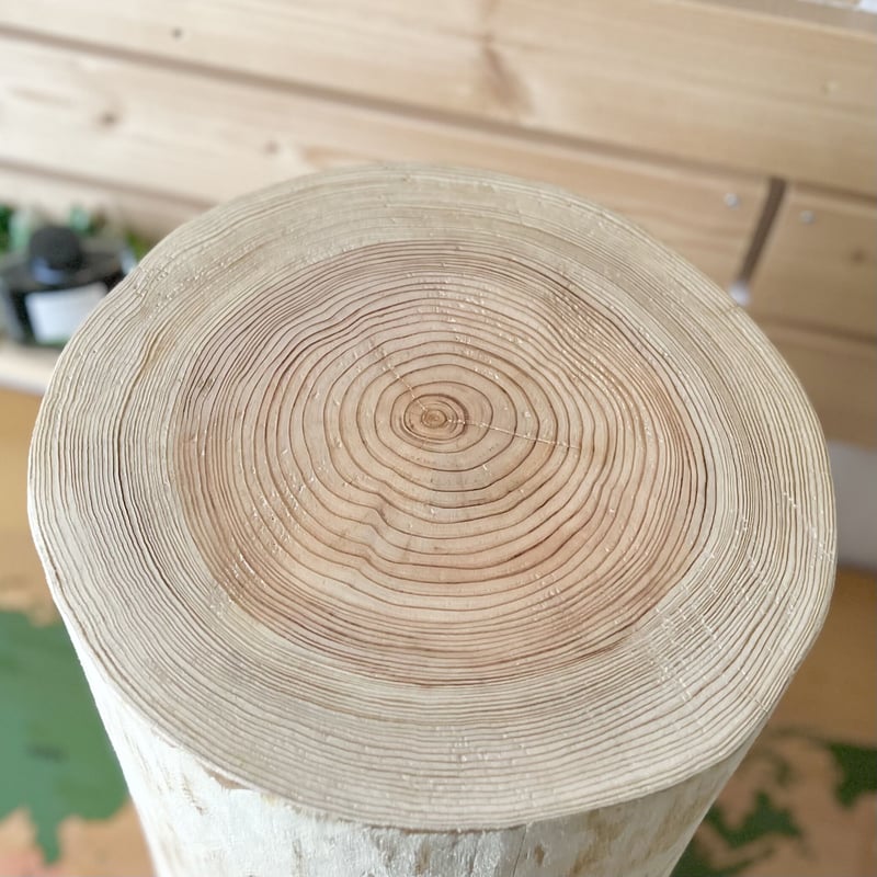杉の丸太【Lサイズ】N 直径30cm×高さ45cm | はちもも雑貨店