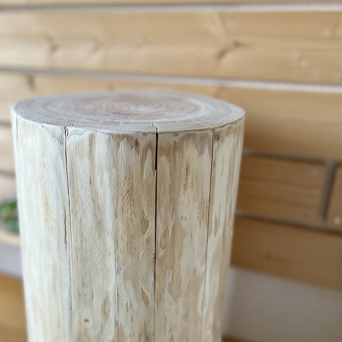 杉の丸太【Lサイズ】Q 直径24cm×高さ45cm | はちもも雑貨店