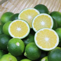 みやもっちゃんの「すっぱミカン」1kg