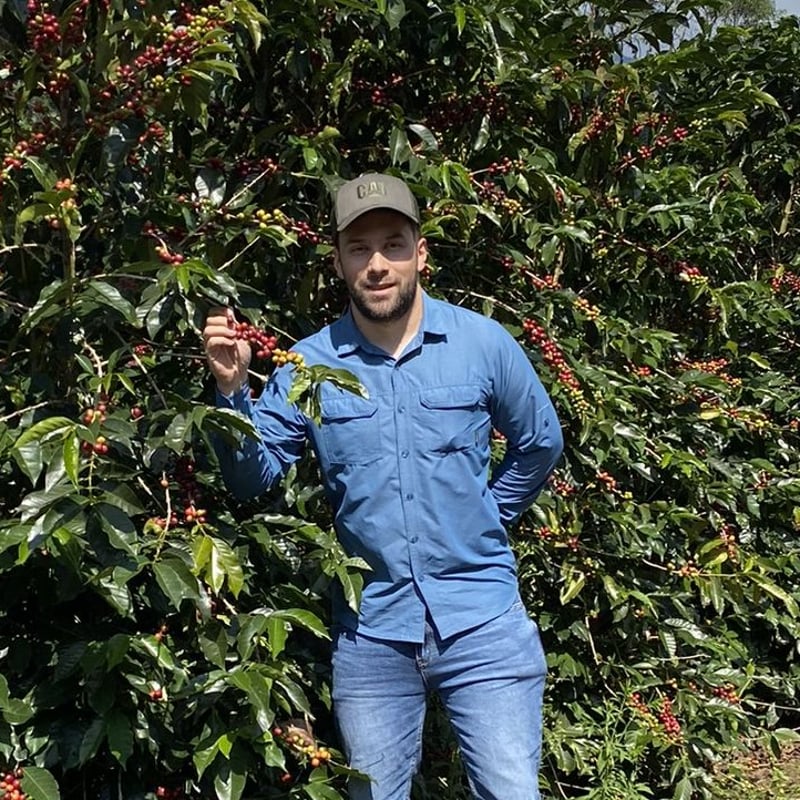 生豆】コスタリカ ヴァレリオ農園 ブラックハニー 2023-24 | Puente Coffee