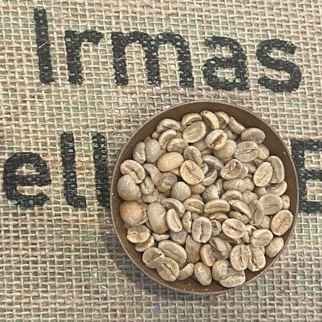 【生豆】ブラジル　イルマス・ペレイラ農園　ブルボン・アマレロ　ハニー　2022-23