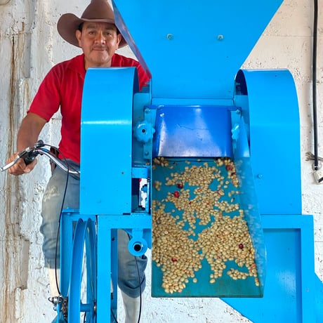 グァテマラ　グッド・コーヒー・ファームズ「ラス・ブリサス農園 パチェ・ドライウォッシュド」中浅煎り 2024　100g
