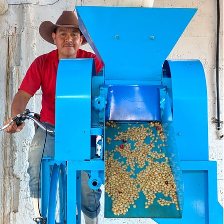 グァテマラ　グッド・コーヒー・ファームズ「ラス・ブリサス農園 パチェ・ドライウォッシュド」中煎り 2024　100g
