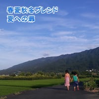 春夏秋冬ブレンド  夏への扉2026　500g(250g × 2袋)【豆のままがおススメです】