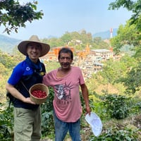 メキシコ 「エル・プエンテ農園」中煎り 2024　200g