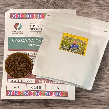 グアテマラゲイシャコーヒー 500gグアテマラゲイシャコーヒー 500g