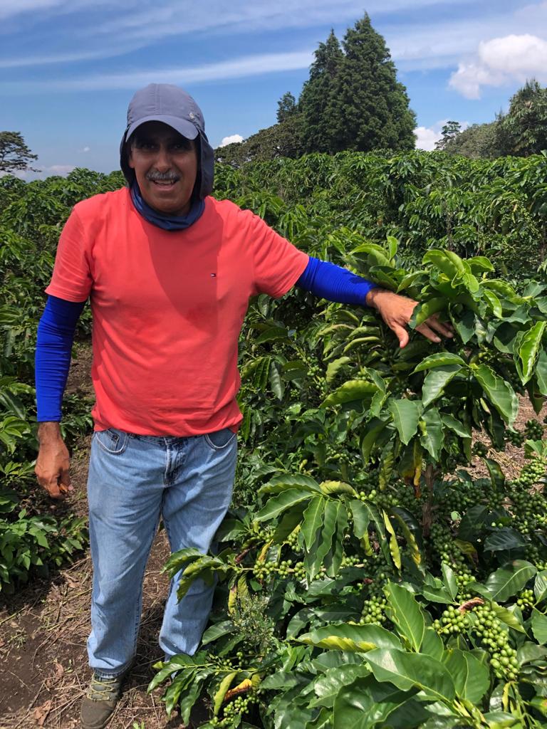 生豆】コスタリカ ヴァレリオ農園 ブラックハニー 2023-24 | Puente Coffee