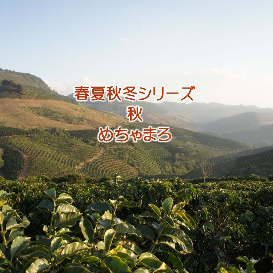 651b831f0faafe002df282d4