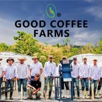 グァテマラ　グッド・コーヒー・ファームズ「ラス・ブリサス」中浅煎り 2022　500g(250g × 2袋)【豆のままがおススメです】