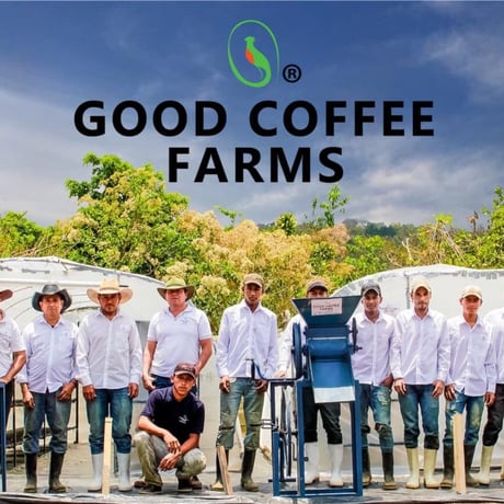グァテマラ　グッド・コーヒー・ファームズ「ラス・ブリサス農園 パチェ」中深煎り 2022　100g