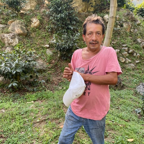 メキシコ 「エル・プエンテ農園」中煎り 2024　1kg (250g × 4袋)【豆のまましか選べません】