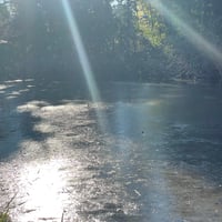 明日への手紙（手嶋葵）