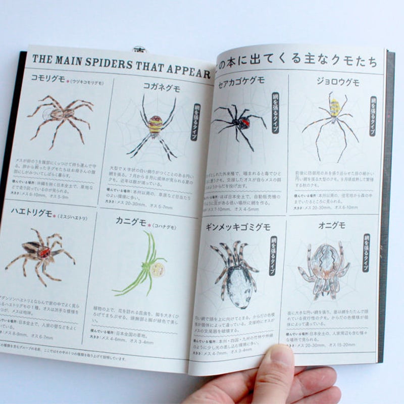 クモのイト | ミシマ社の本屋さんショップ