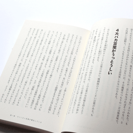 ウソつきの国