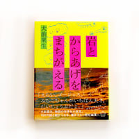 岩とからあげをまちがえる