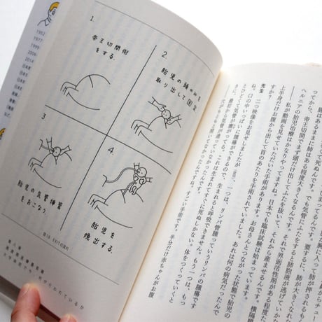 胎児のはなし