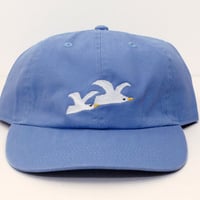 Donchi《Bird》Cap（Sky Blue）
