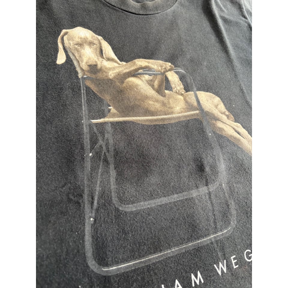 90s WILLIAM WEGMAN 