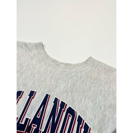 90s Champion REVERSE WEAVE Size L