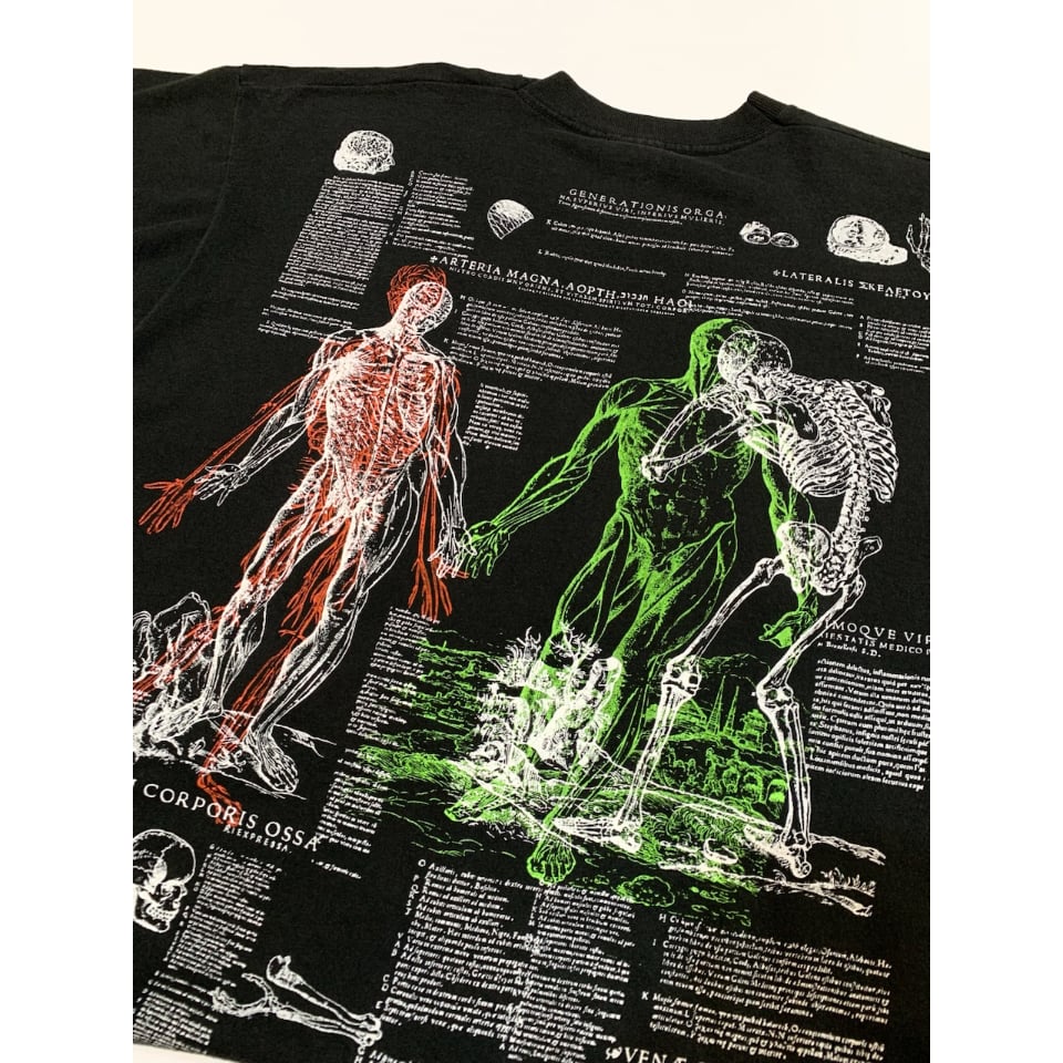 90s anatomical chart 人体標本 nirvana 90s anatomical chart 人体標本 nirvana