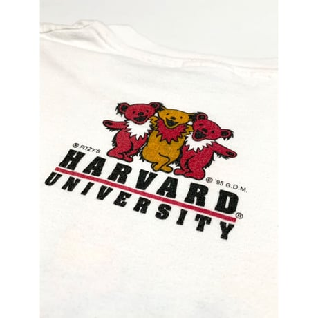 90s GRATEFUL DEAD "HARVARD" COLLEGE Tee MEAD IN USA 🇺🇸 Size L