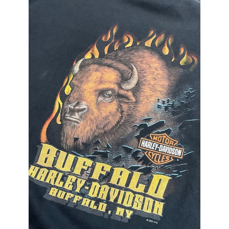 ⭐️未使用品 HARLEY−DAVIDSON S/S TEE ＬサイズUSA製☆ 00s Harley-Davidson S/S Tee MADE IN USA 🇺🇸 Size