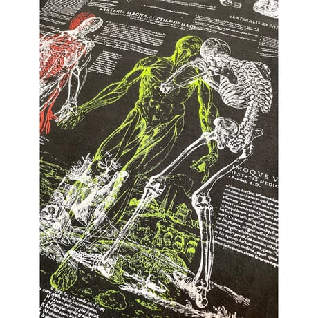 80s Venae Cavae Iecorariae Anatomy Tee MADE IN USA 🇺🇸 Size L