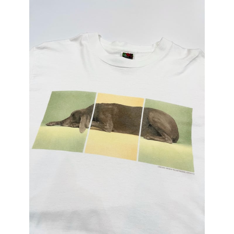 90s WILLIAM WEGMAN 