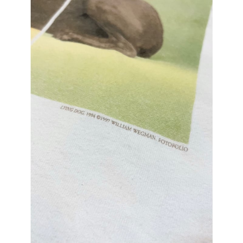 90s WILLIAM WEGMAN 