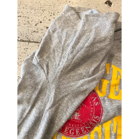 80s Champion 88/12 College Tee MADE IN USA 🇺🇸 Size L